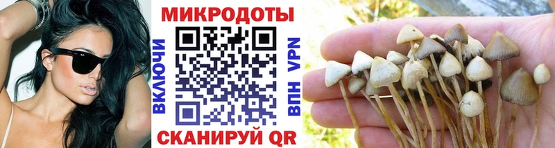Псилоцибиновые грибы GOLDEN TEACHER  Купить закладки  Казань 